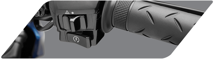 HONDA Hornet 2.0  from Mansi Wings Honda